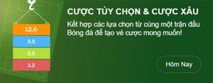 Giải thích chi tiết về kèo handicap trong bóng đá là gì?
